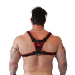 Brutus Puppy Harness Black & Red