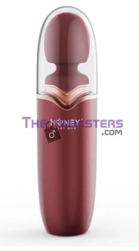 STORMI Wand Massager with Travel Case