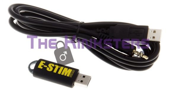 E-Stim 2B Digital Link Interface