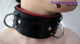 Black & Red Padded Leather Collar